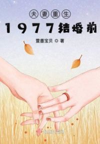 夫妻重生1977结婚前