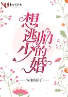 想逃少帅的婚