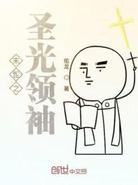 末世之圣光领袖