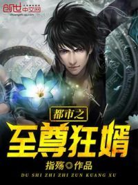 都市之至尊狂婿