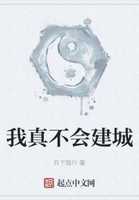 我真不会建城