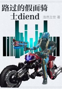 路过的假面骑士diend