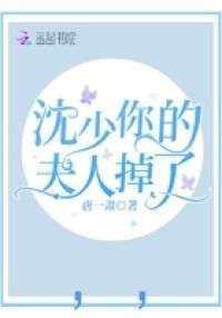 沈少你的夫人掉了