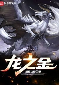 龙之金