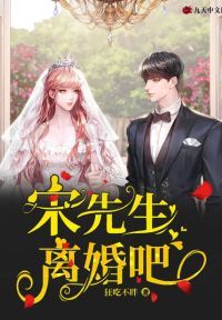 宋先生，离婚吧