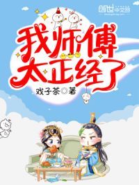 我师傅太正经了