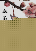 双面王爷的小娇妻