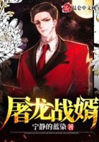 屠龙战婿