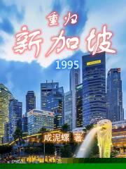 重归新加坡1995