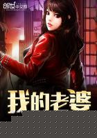 我的老婆是传奇