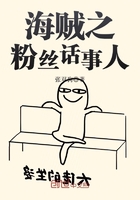 海贼之粉丝话事人