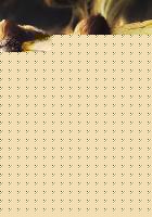 天地争霸之美猴王