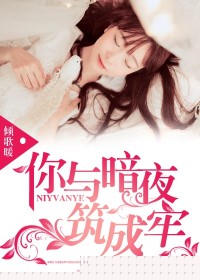 你与暗夜筑成牢