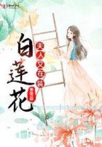 夫人又在装白莲花